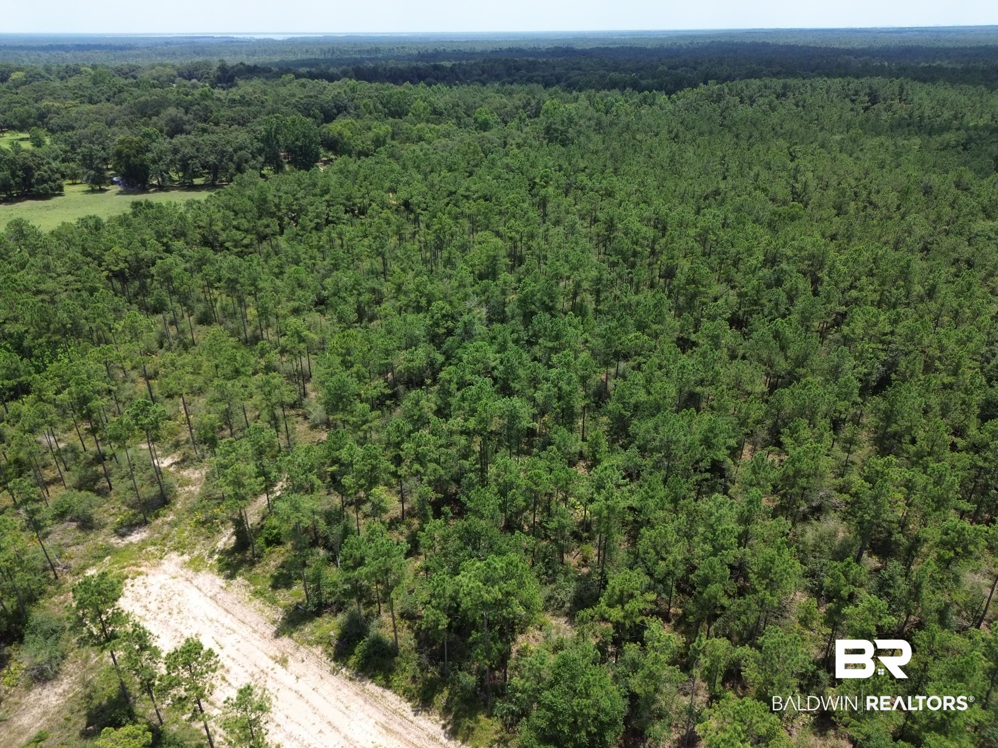 0 Kings Landing Road Seminole, AL 36574 - Photo 5 of 7