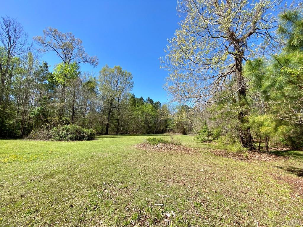 130 Billetts Bridge Road Camden, NC 27921 - Photo 3 of 10