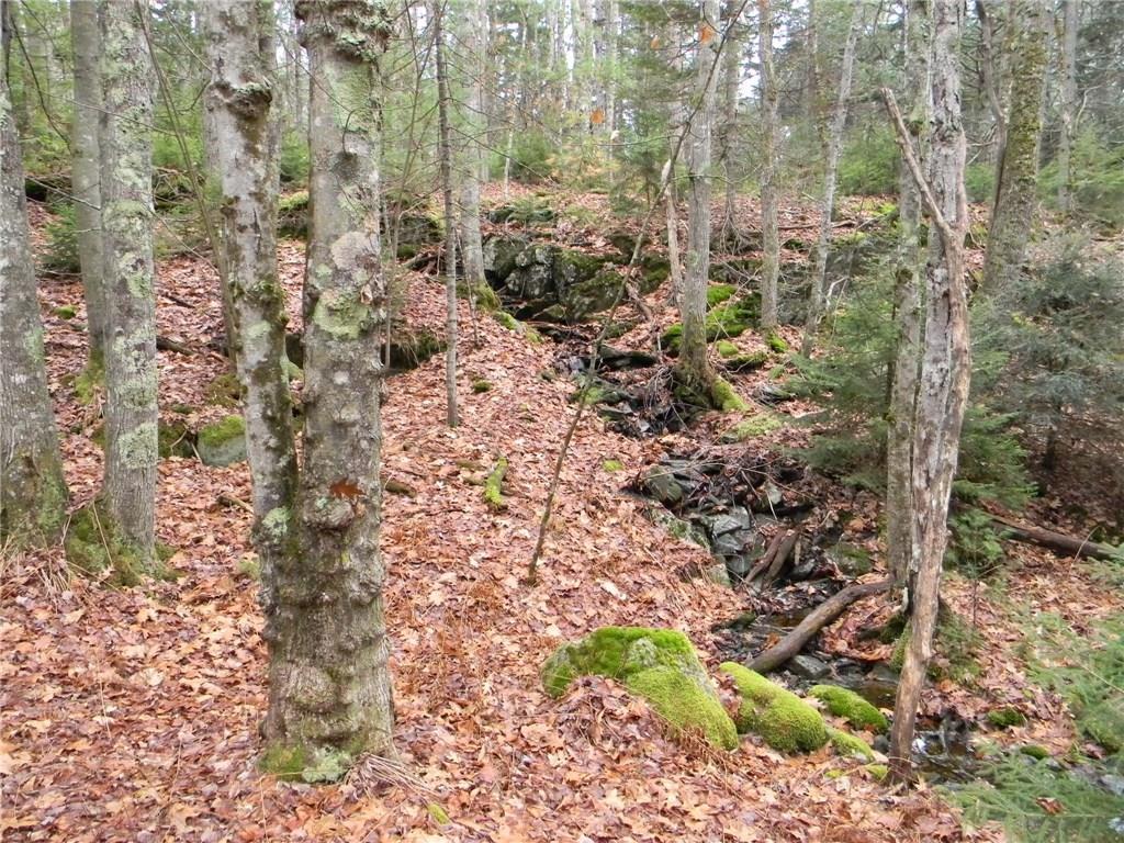 0 Junction Road Westport Island, ME 04578 - Photo 7 of 18 Photo