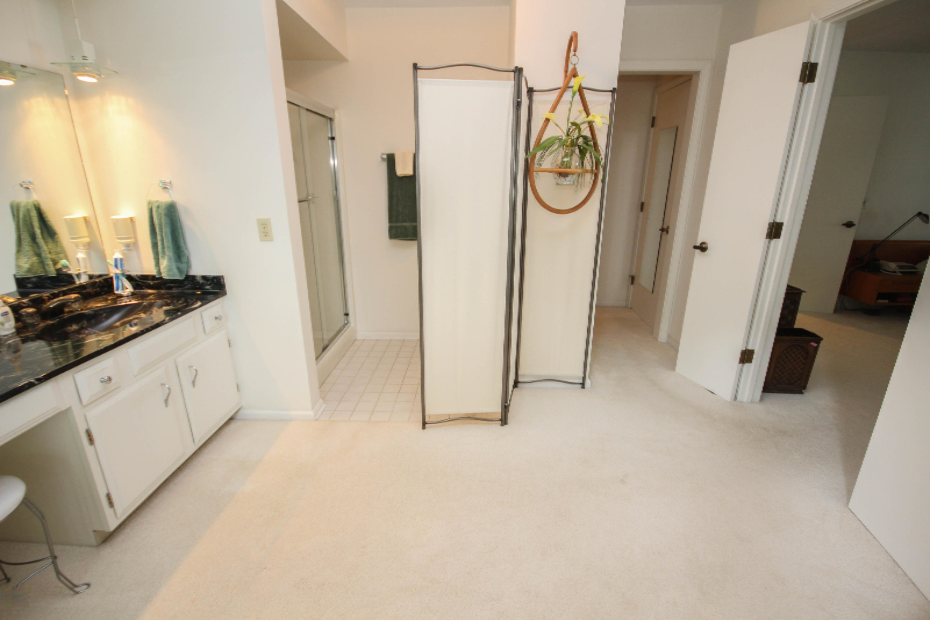 55418 North Fisher Lake Road Three Rivers, MI 49093 - Photo 34 of 47 untitled (34 of 47)