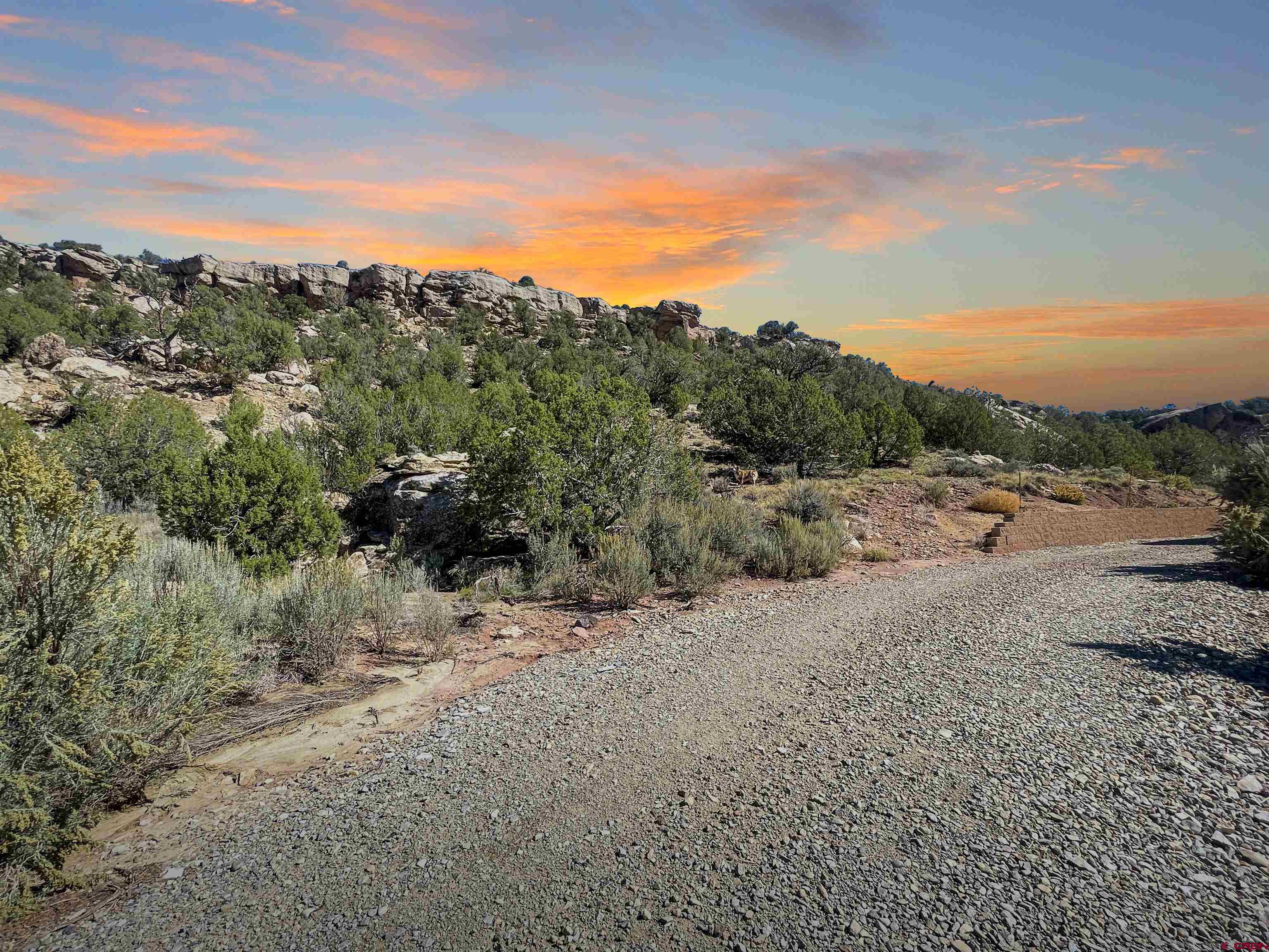 20615 Rd G Cortez, CO 81321 - Photo 14 of 43 a view of a road with a yard