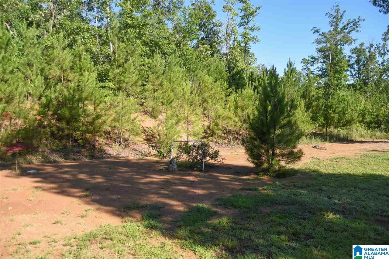 6131 New Liberty Road Jacksonville, AL 36265 - Photo 38 of 39