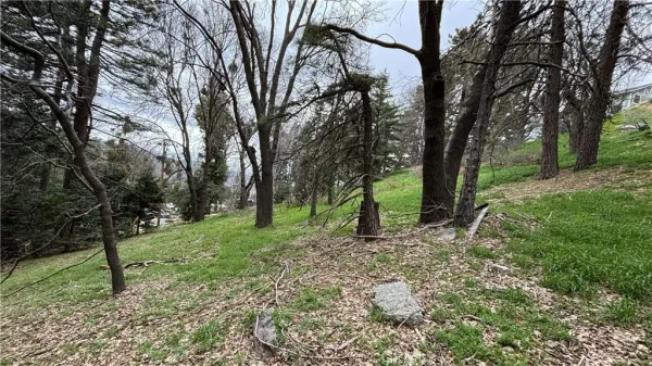 a big yard with lots of green space and trees