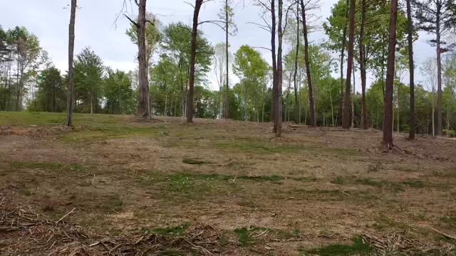 2222 Mauney Chapel Road Corbin, KY 40701 - Photo 6 of 17 2021-05-02-16-06-31-010