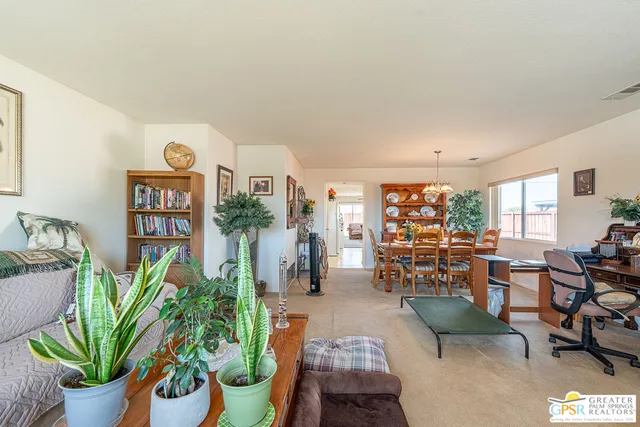 a living room with furniture potted plant and a large window