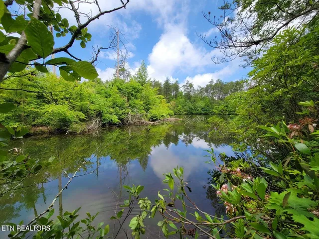 $23,000 | 5 Cumberland Lakes Drive, Monterey, TN 38574