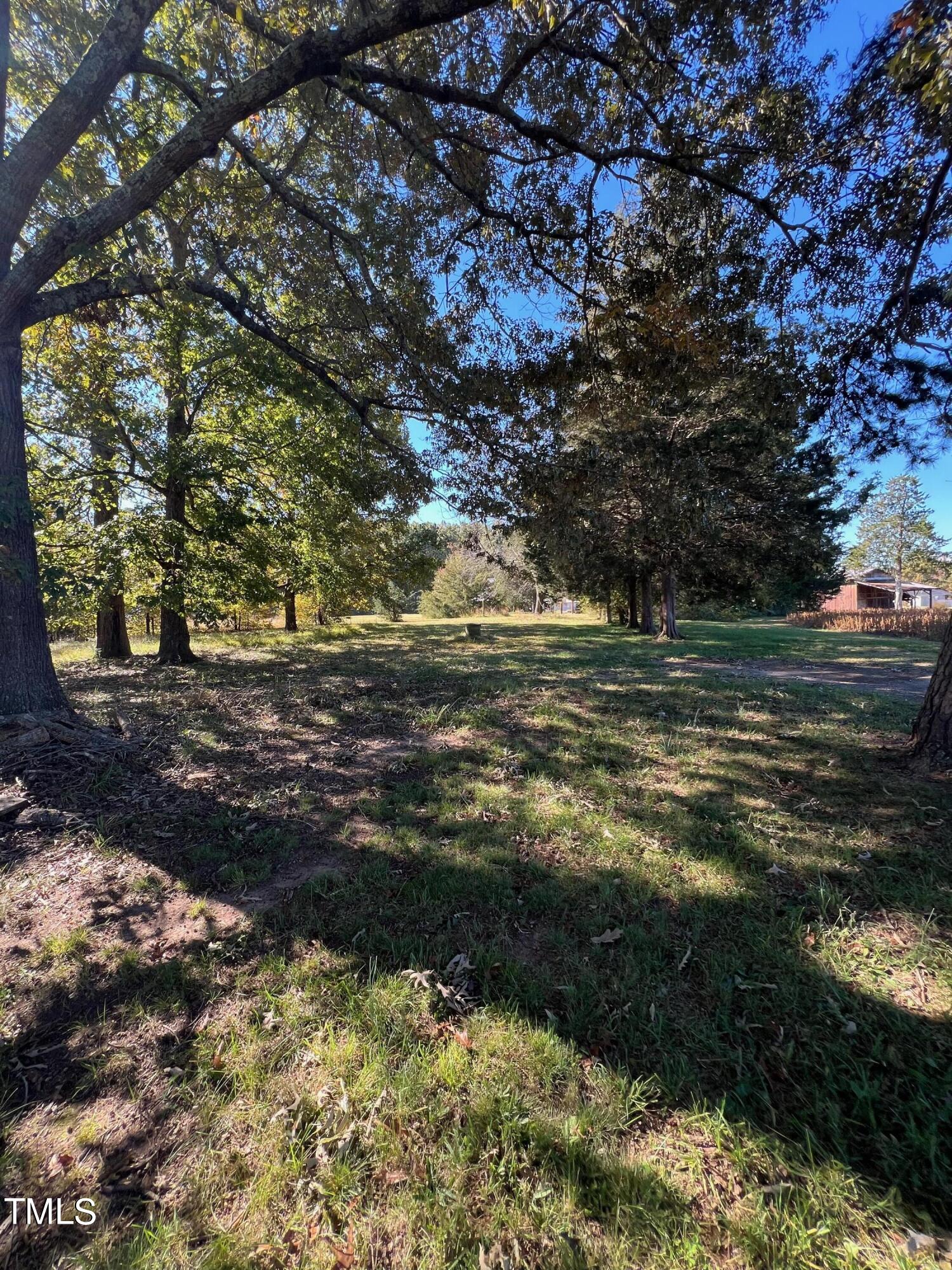 377 Mellie Clayton Road Roxboro, NC 27574 - Photo 3 of 14 a view of a yard with large trees