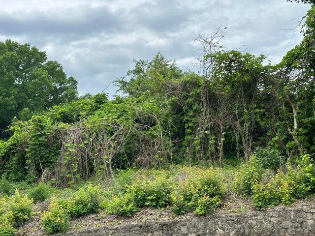 0 Rd Street, Unit S W Cleveland, TN 37311 - Photo 1 of 4 20240525204148449156000000-o