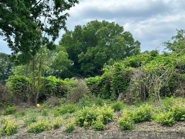 0 Rd Street, Unit S W Cleveland, TN 37311 - Photo 3 of 4 20240525204200915338000000-o