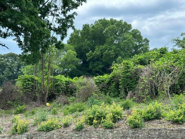 0 Rd Street, Unit S W Cleveland, TN 37311 - Photo 4 of 4 20240525204206178198000000-o