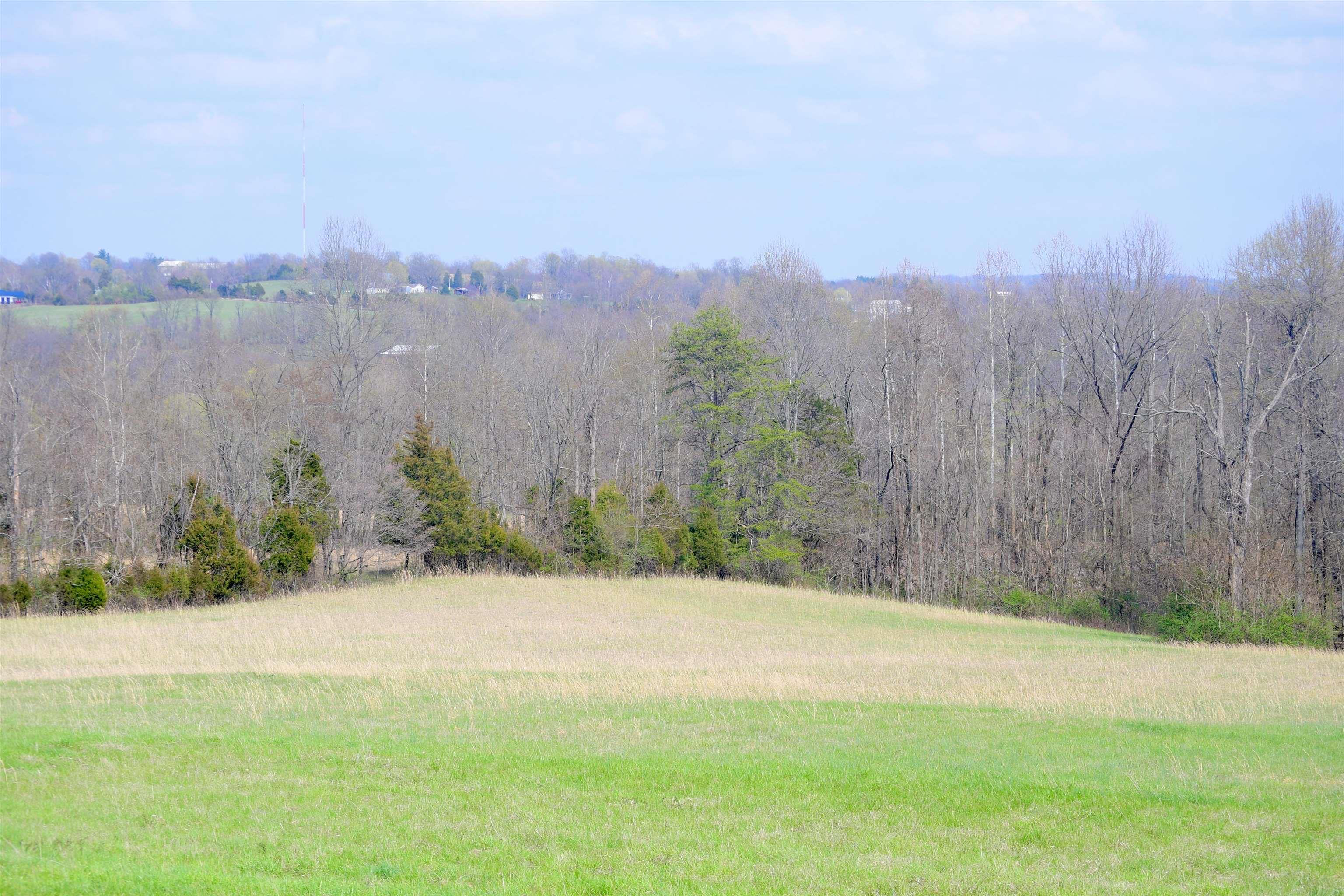 1388 Peerless Road Bedford, IN 47421 - Photo 5 of 15