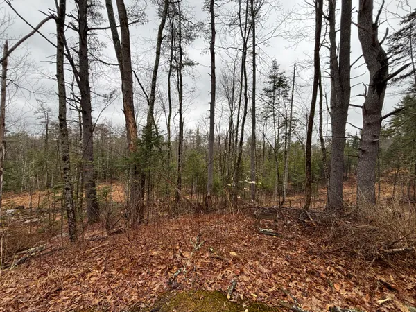 $305,000 | 732 Roosevelt Trail, Casco, ME 04015
