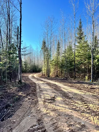 $94,000 | 0 Pine Lake Road, Unit LOT 1, Tripoli, WI 54564
