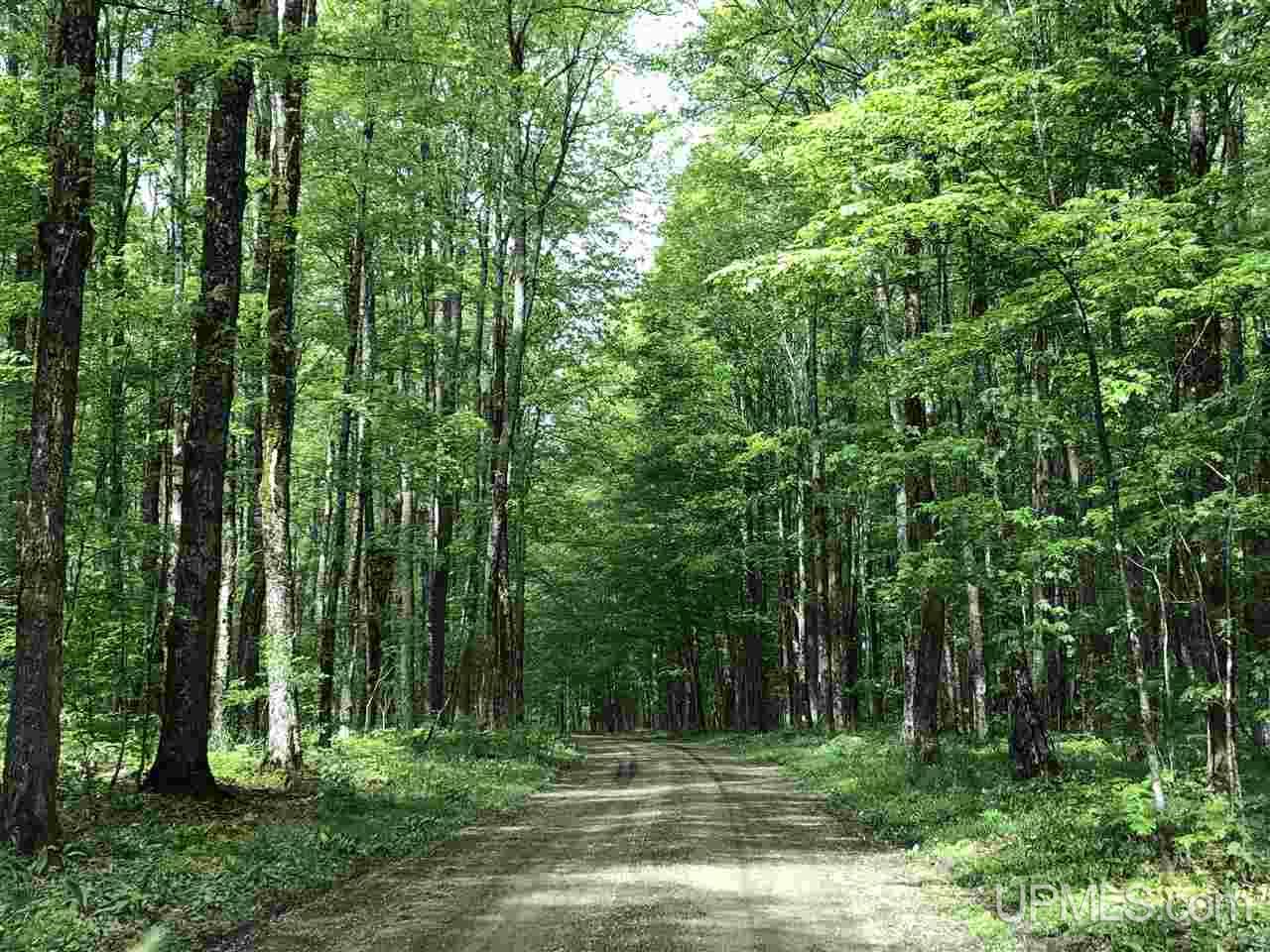 Tbd 160 Acres Camp 23 Road Gulliver, MI 49840 - Photo 3 of 48
