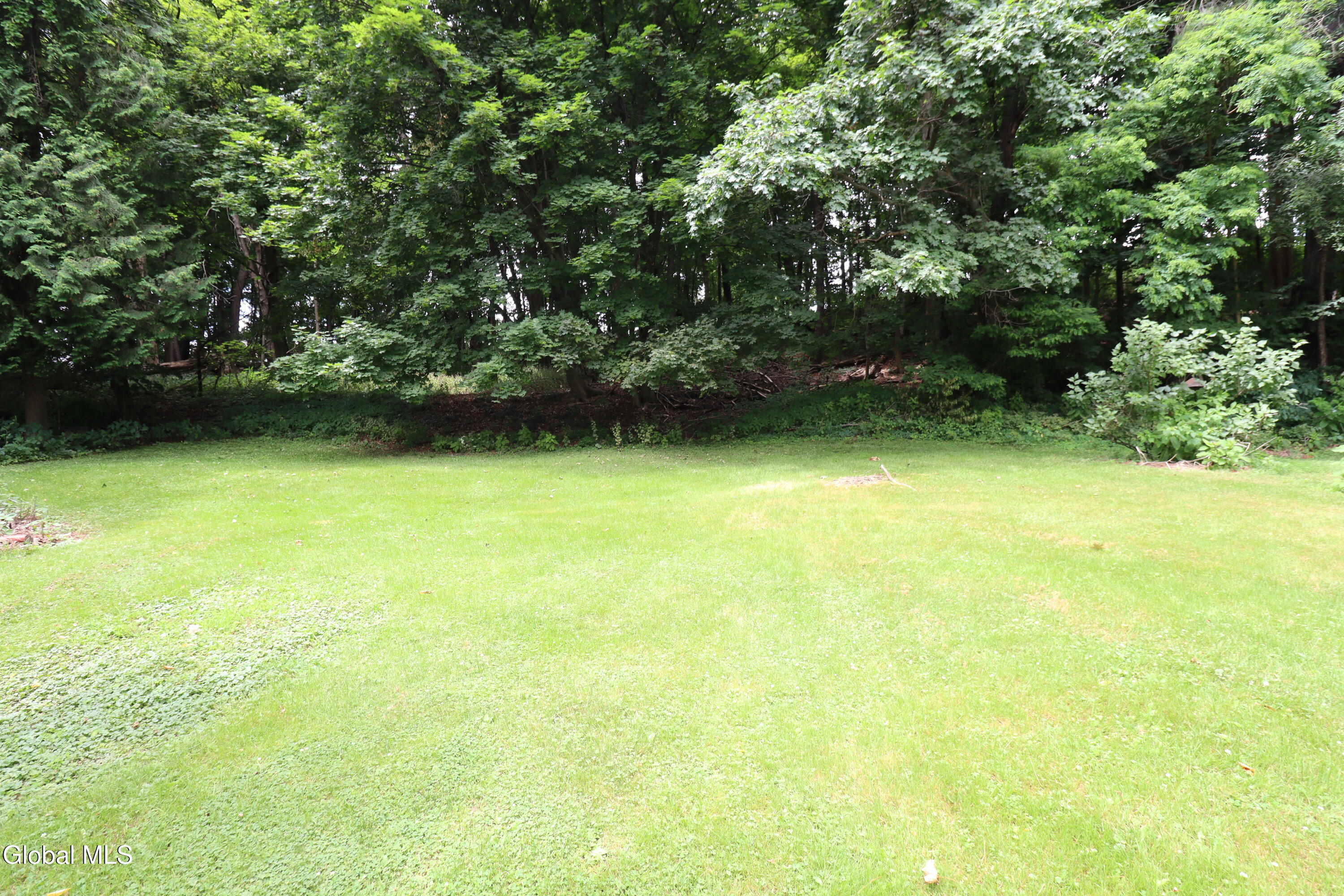 102 Schermerhorn Road Rotterdam, NY 12306 - Photo 35 of 44 IMG_6685