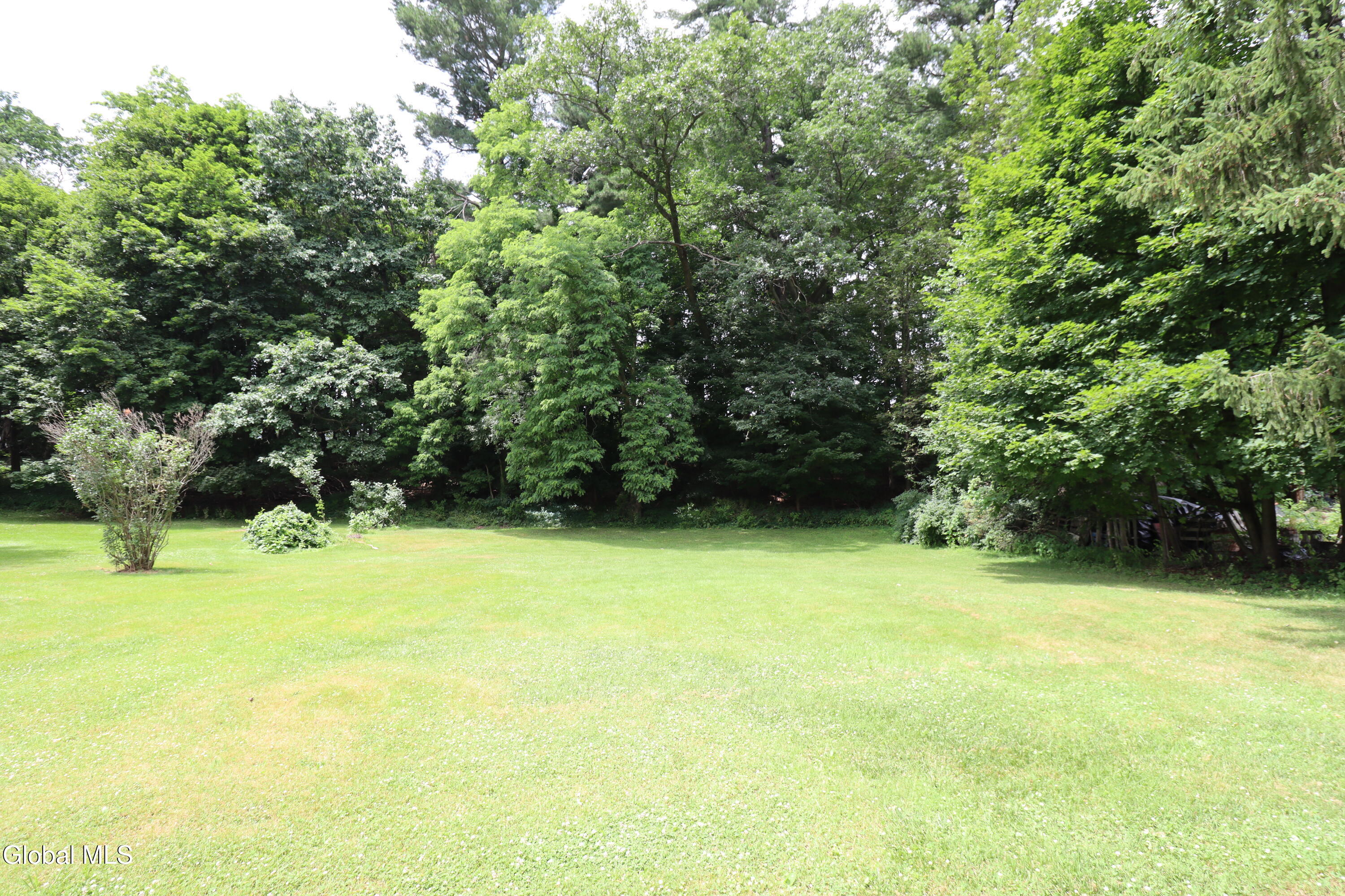 102 Schermerhorn Road Rotterdam, NY 12306 - Photo 41 of 44 IMG_6693