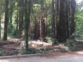 0 Grove Road Los Gatos, CA 95033 - Photo 2 of 4 Gallery Image 2