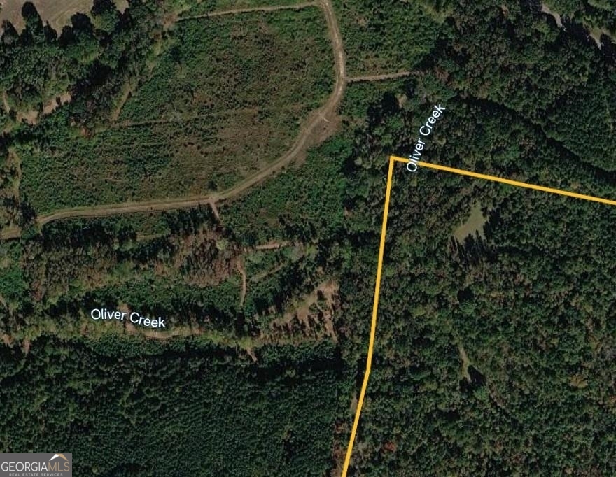 0 Pear Orchard Road Greensboro, GA 30642 - Photo 6 of 34