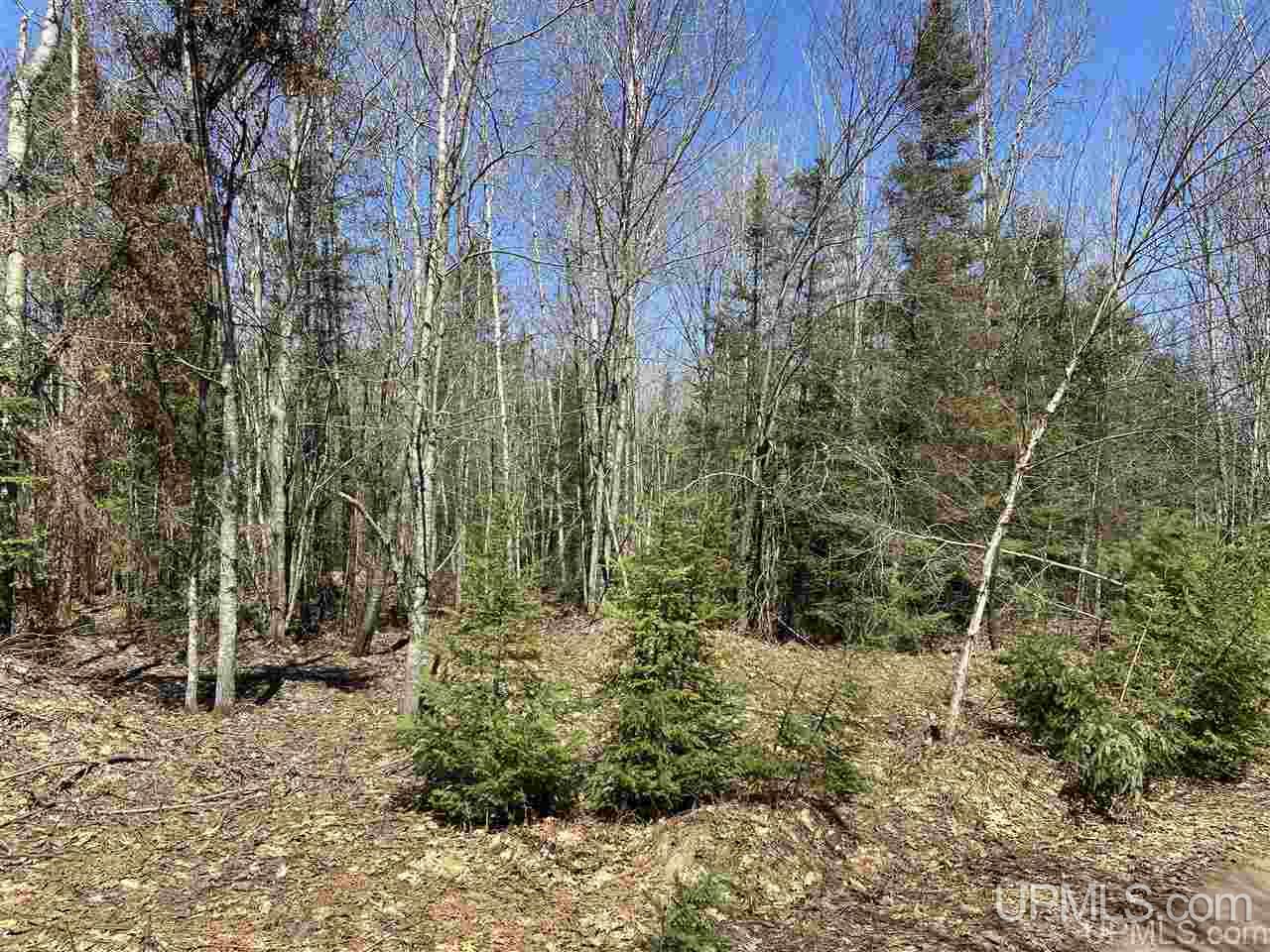 Tbd Tbd Off Powerline Gwinn, MI 49841 - Photo 25 of 28