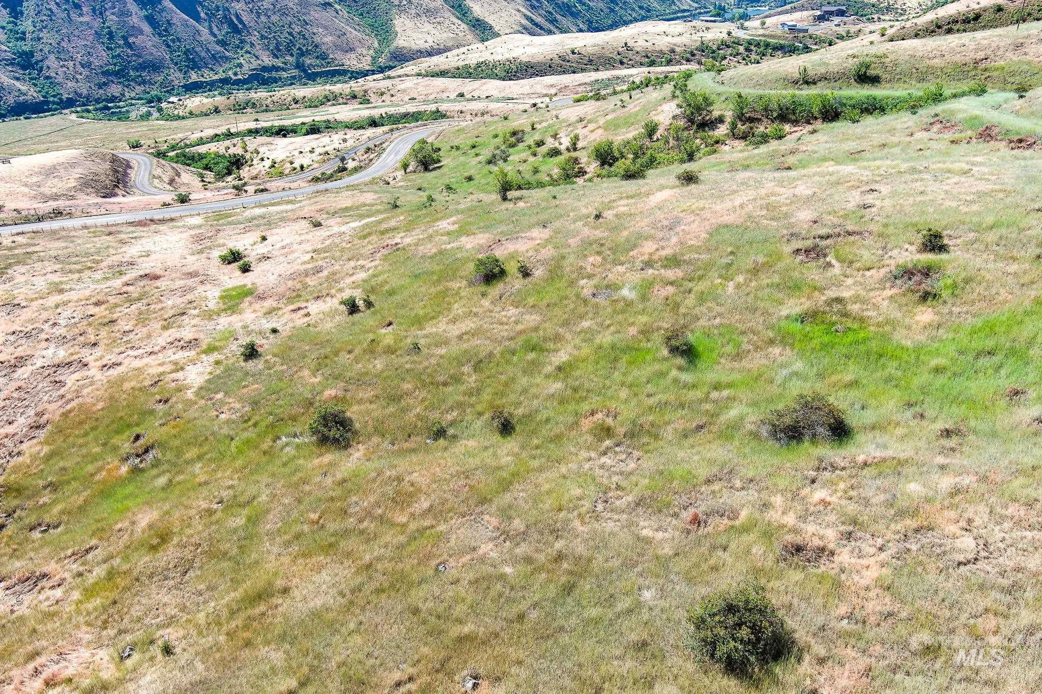 Tbd Tbd Doumecq Road White Bird, ID 83554 - Photo 10 of 17