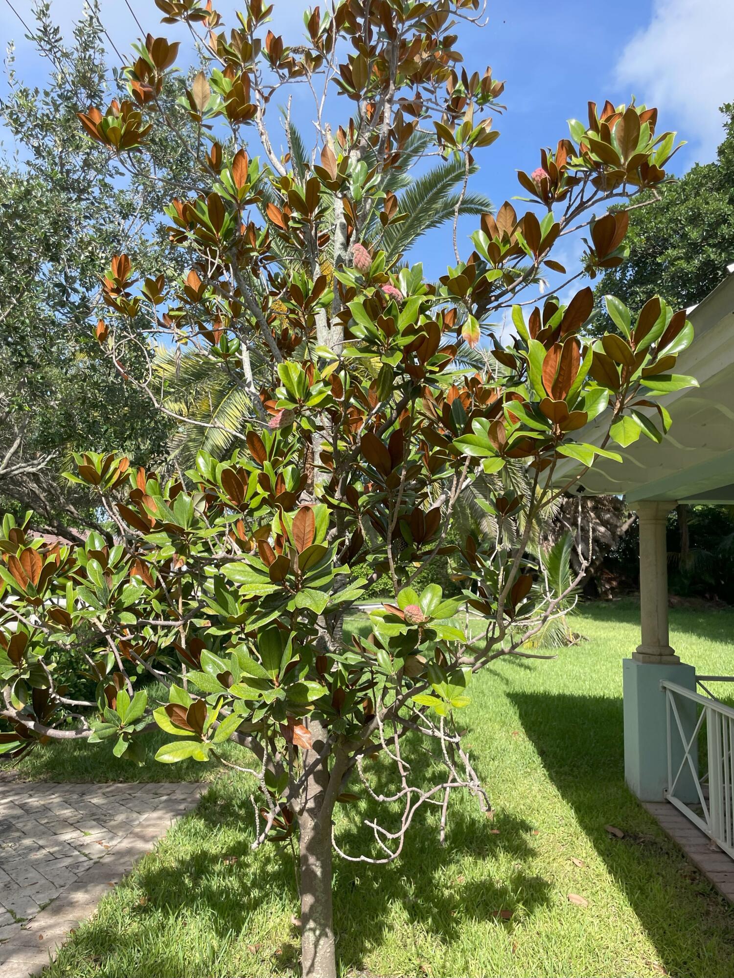 Undisclosed Address Boca Raton, FL 33432 - Photo 24 of 62 IMG_1088