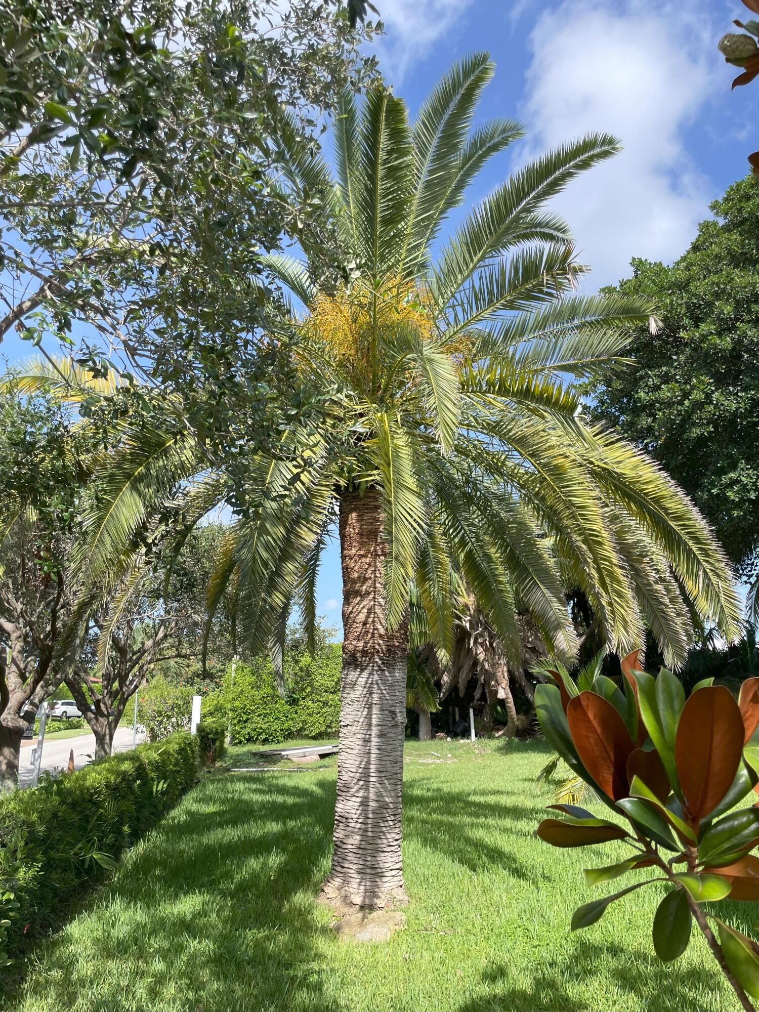 Undisclosed Address Boca Raton, FL 33432 - Photo 25 of 62 IMG_1089