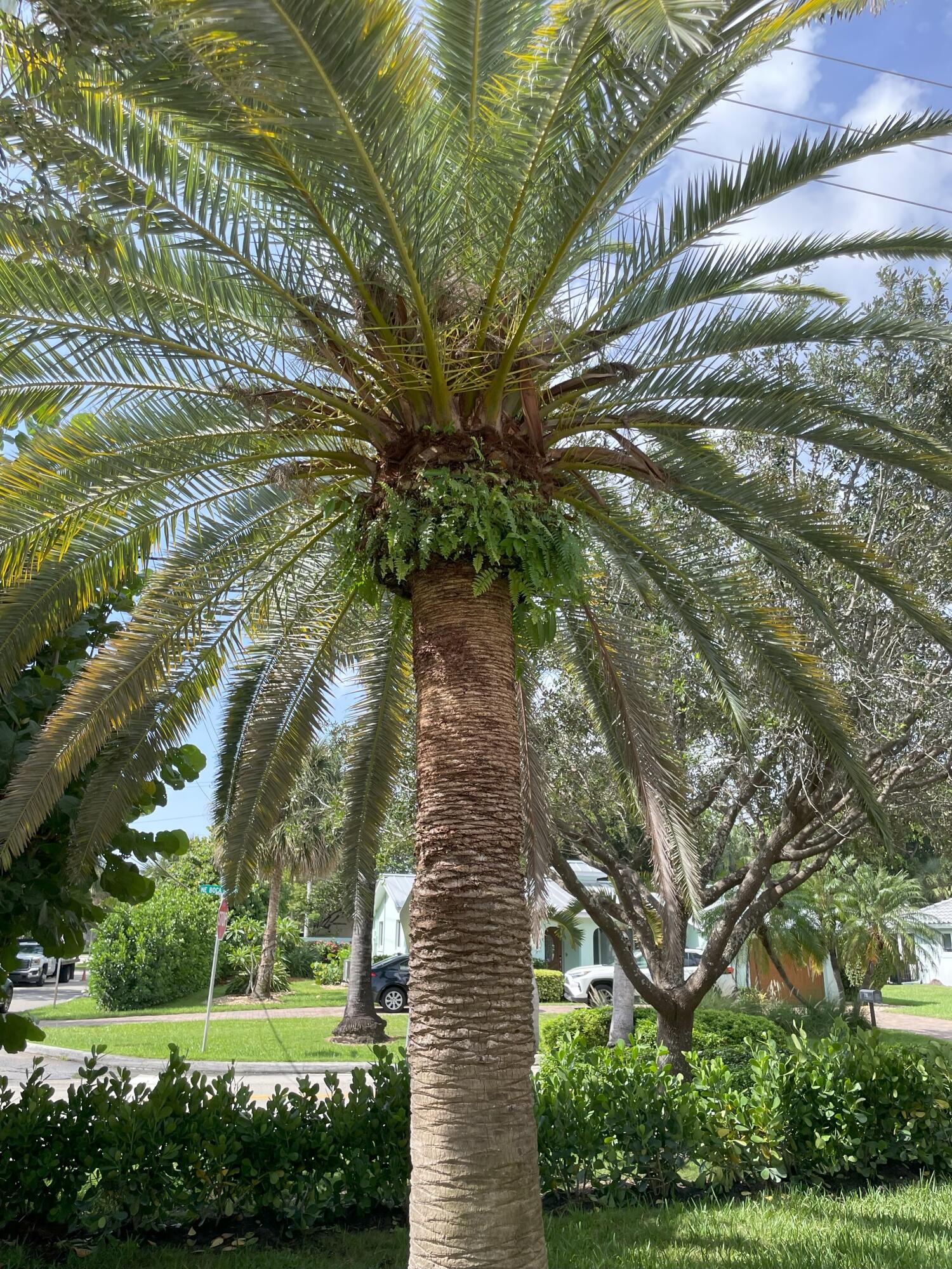 Undisclosed Address Boca Raton, FL 33432 - Photo 40 of 62 IMG_1109