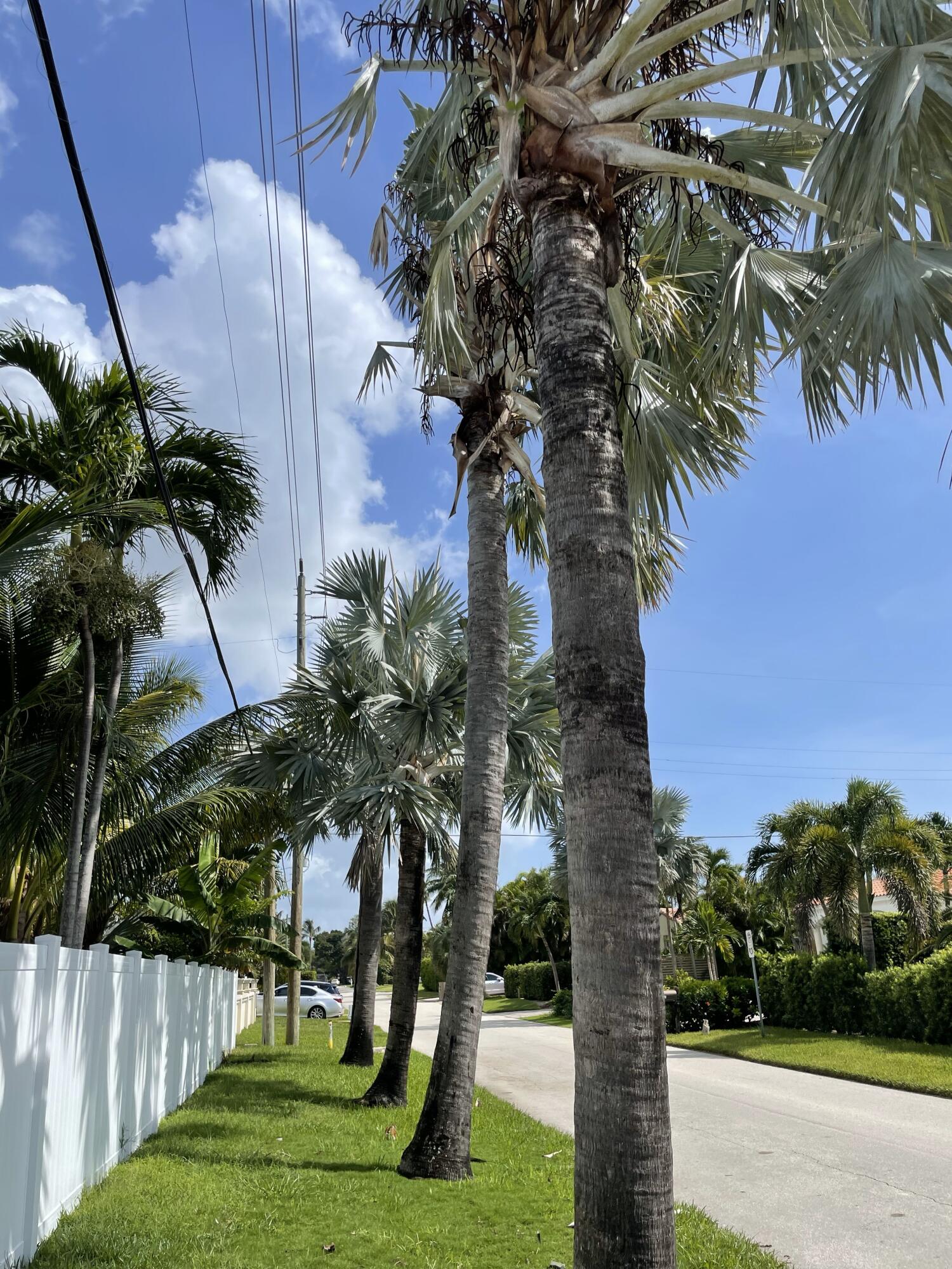 Undisclosed Address Boca Raton, FL 33432 - Photo 42 of 62 IMG_1113