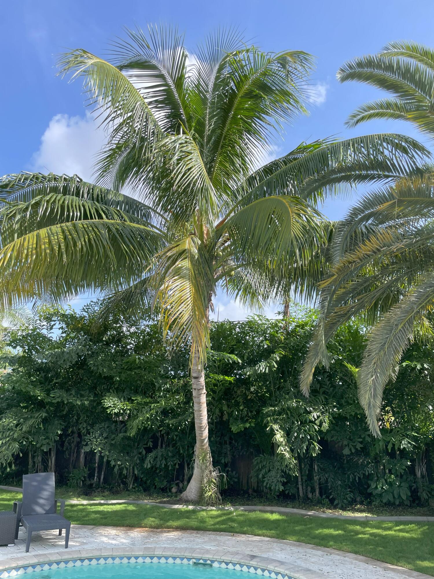 Undisclosed Address Boca Raton, FL 33432 - Photo 5 of 62 IMG_1068