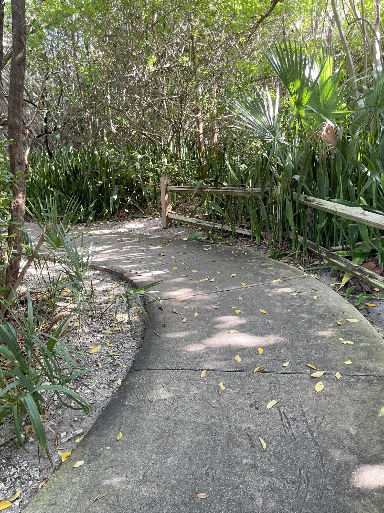 Undisclosed Address Boca Raton, FL 33432 - Photo 52 of 62 IMG_1141