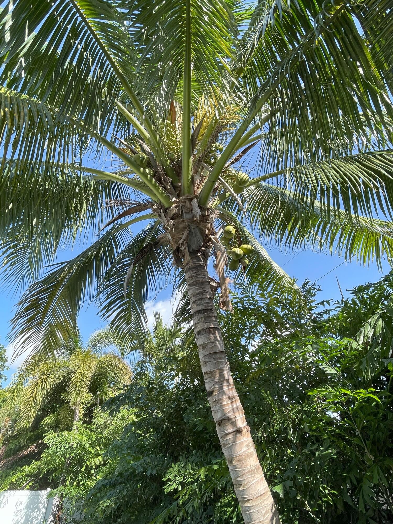 Undisclosed Address Boca Raton, FL 33432 - Photo 56 of 62 IMG_1145