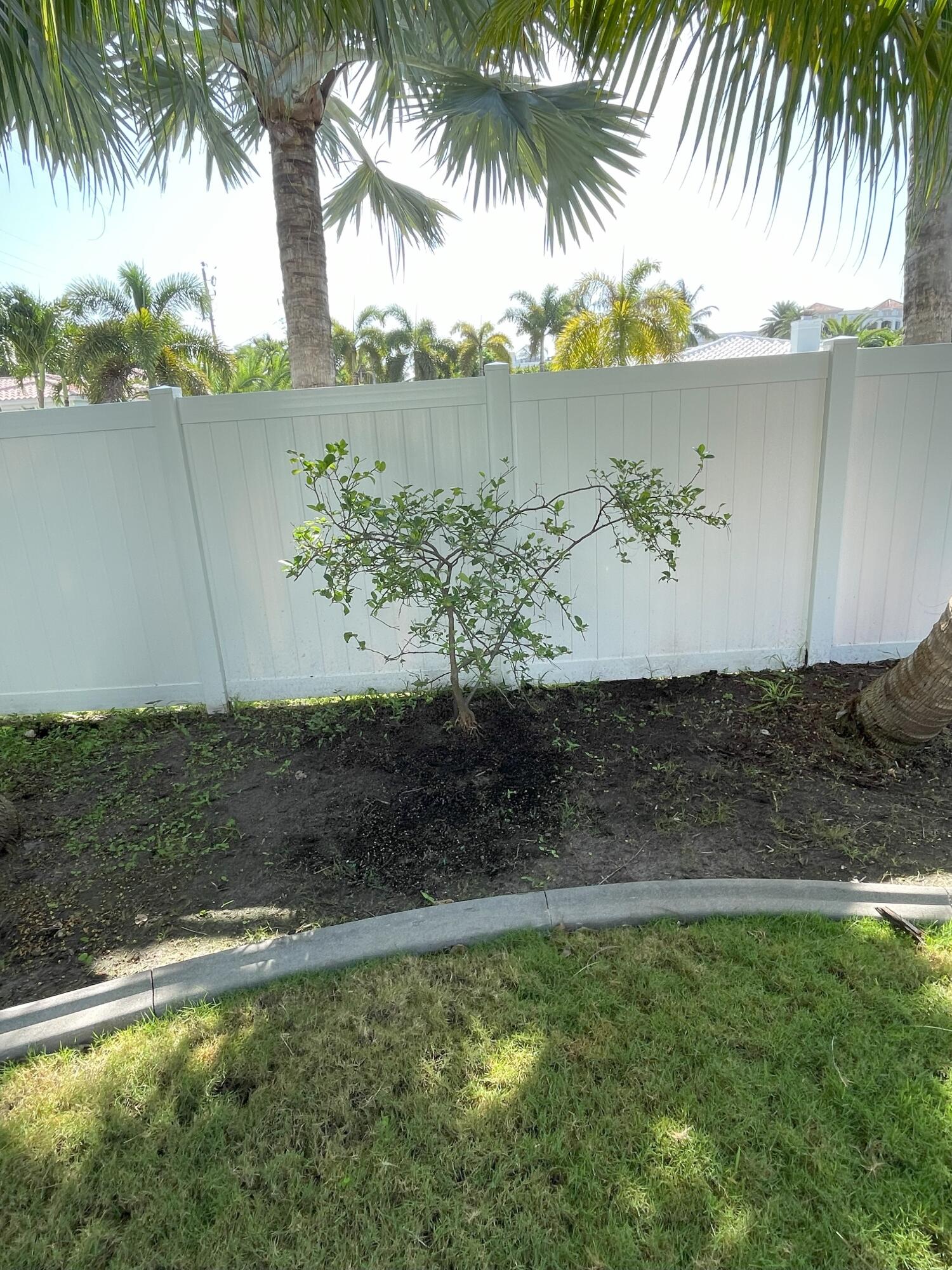 Undisclosed Address Boca Raton, FL 33432 - Photo 57 of 62 IMG_1146