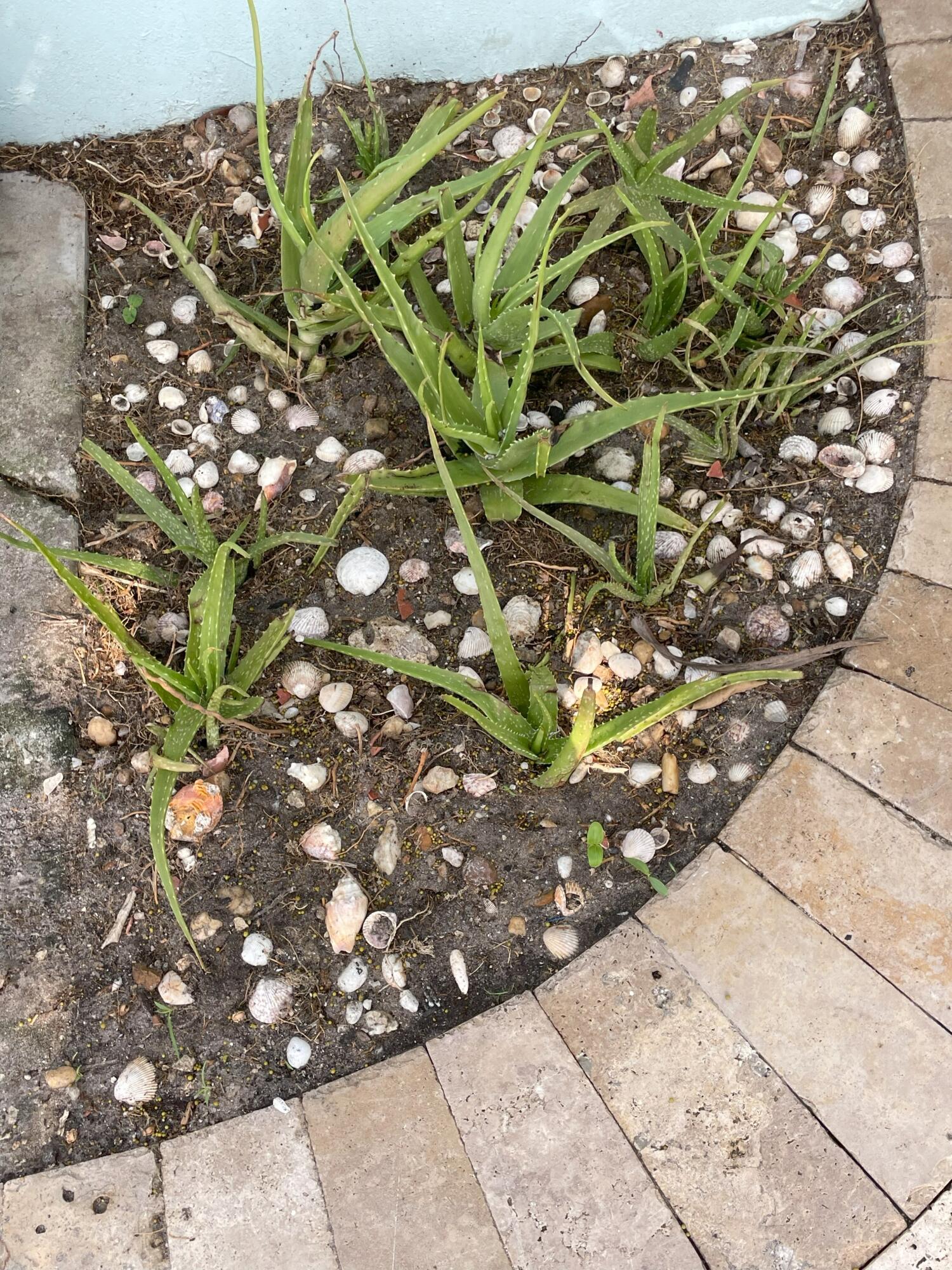 Undisclosed Address Boca Raton, FL 33432 - Photo 58 of 62 IMG_1147