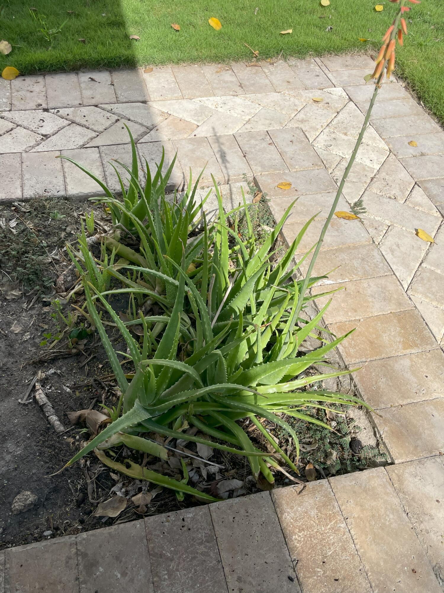 Undisclosed Address Boca Raton, FL 33432 - Photo 59 of 62 IMG_1148