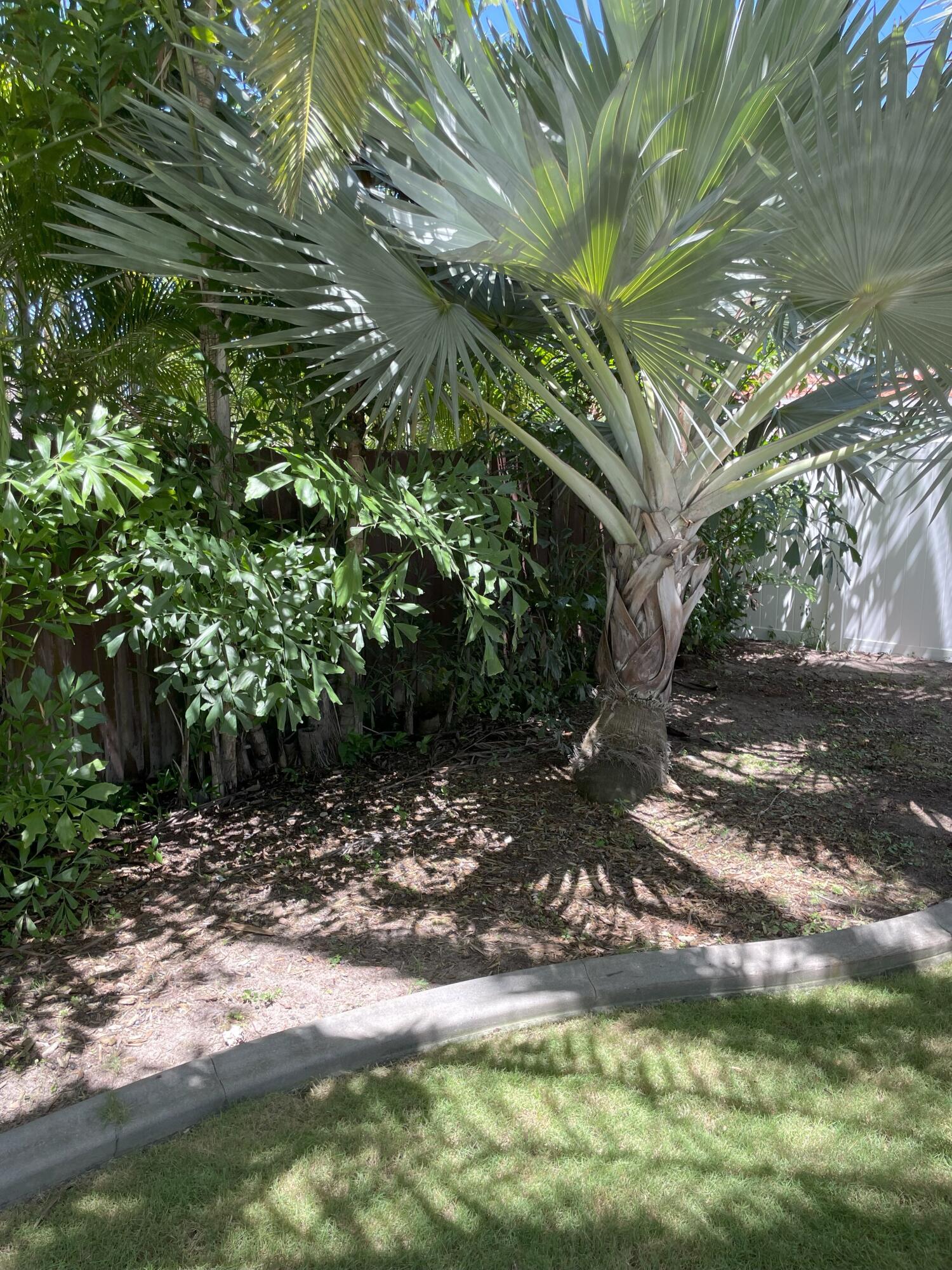 Undisclosed Address Boca Raton, FL 33432 - Photo 62 of 62 IMG_1165