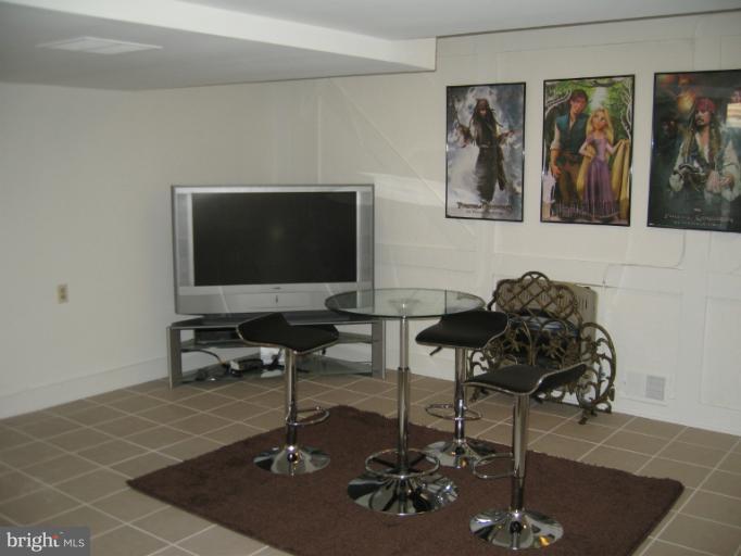 241 Springvale Road Great Falls, VA 22066 - Photo 18 of 30 Basement