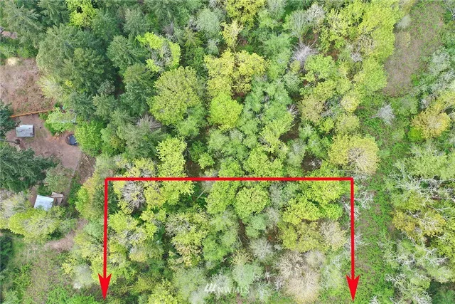 a view of a lake with a city