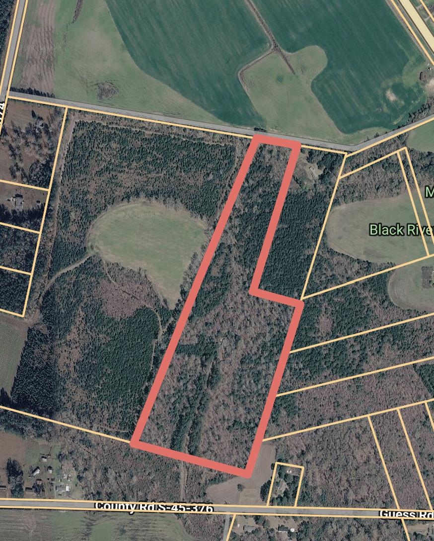 240 Guess Road Greeleyville, SC 29056 - Photo 4 of 4