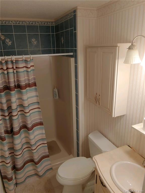 371 Murray Road Canton, NC 28716 - Photo 14 of 25 a bathroom with a toilet and a shower