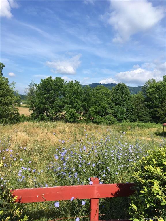 371 Murray Road Canton, NC 28716 - Photo 22 of 25 a view of a yard