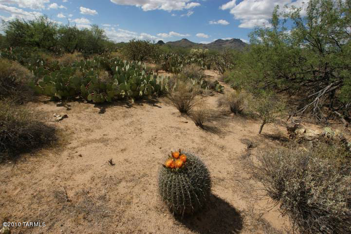 0 North K6 Ranch Road Tucson, AZ 85755 - Photo 3 of 12