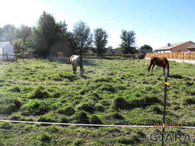 629 33 Road Clifton, CO 81520 - Photo 22 of 25 Gallery Image 22