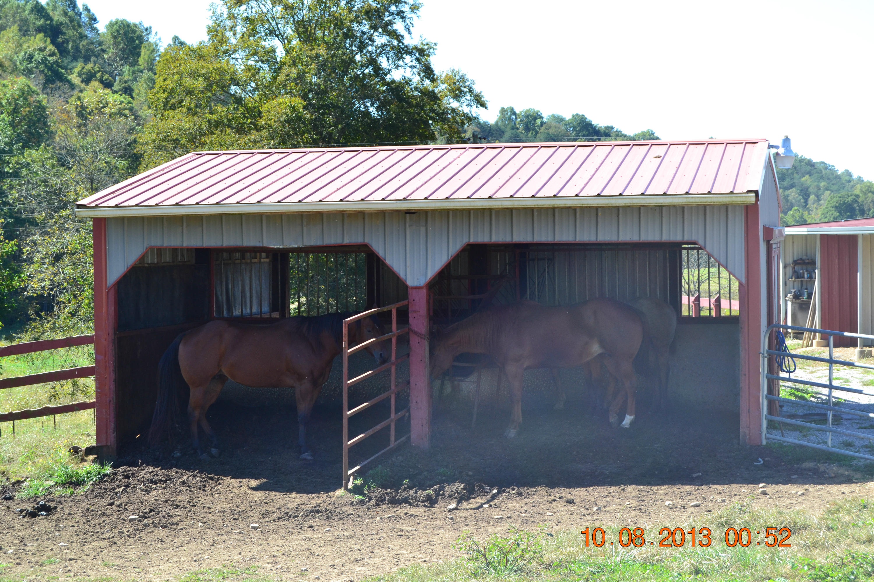 590 Tater Valley Road Luttrell, TN 37779 - Photo 10 of 35 590 Tater Valley 017
