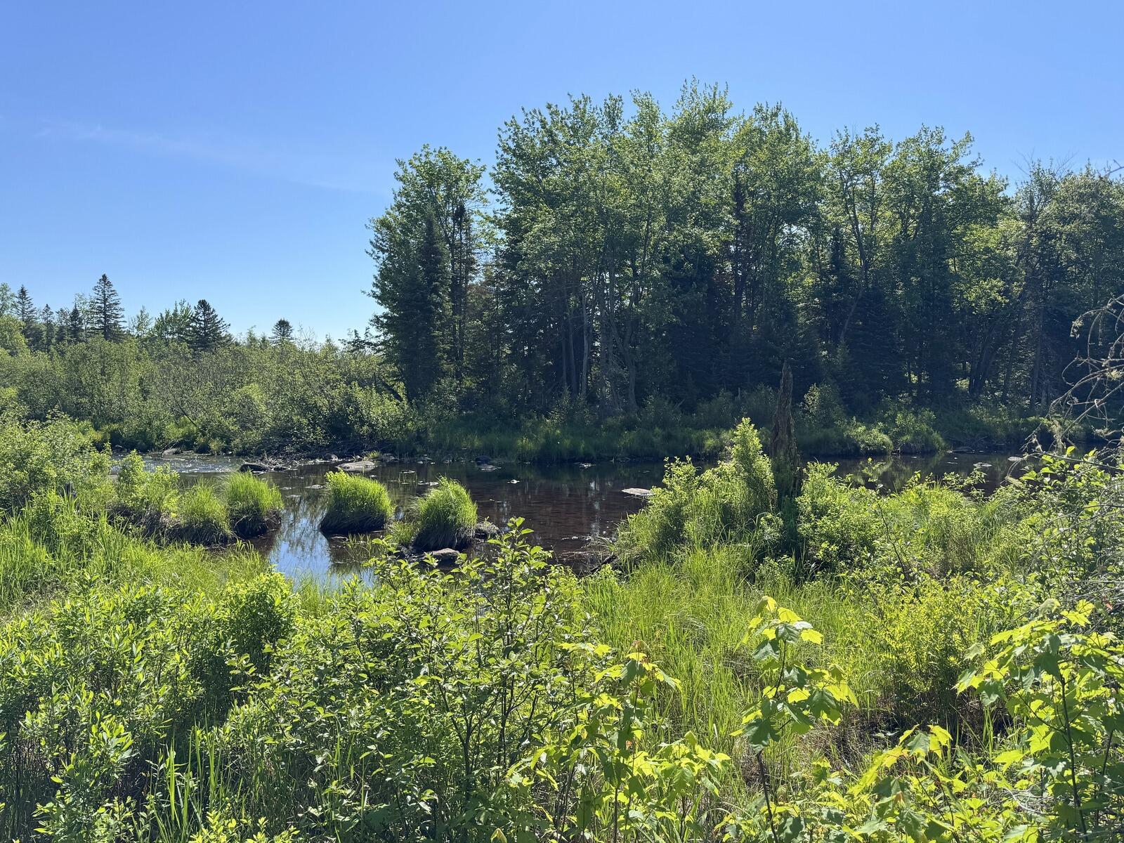 Lot 2 Kingfield Road New Vineyard, ME 04956 - Photo 3 of 9