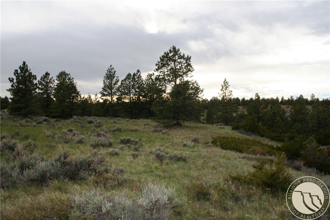 Lot 69 Jacobs Hill Road Reed Point, MT 59069 - Photo 23 of 25 Gallery Image 23