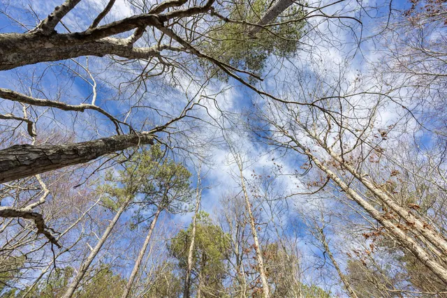 $109,900 | 0 Raulston Falls Drive, Unit JF117, Jasper, TN 37347