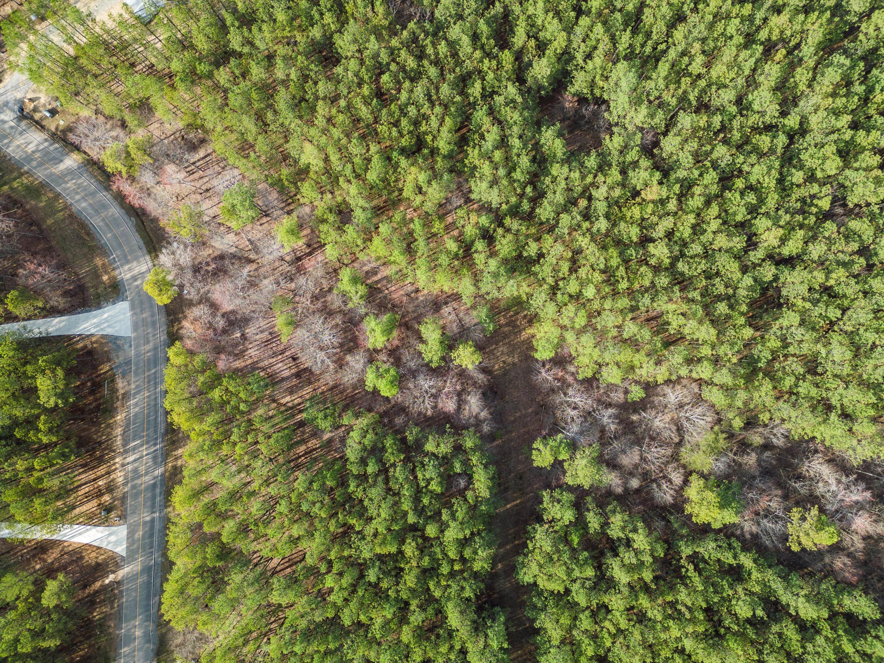 0 Raulston Falls Drive, Unit JF117 Jasper, TN 37347 - Photo 12 of 20 11-DJI_0166