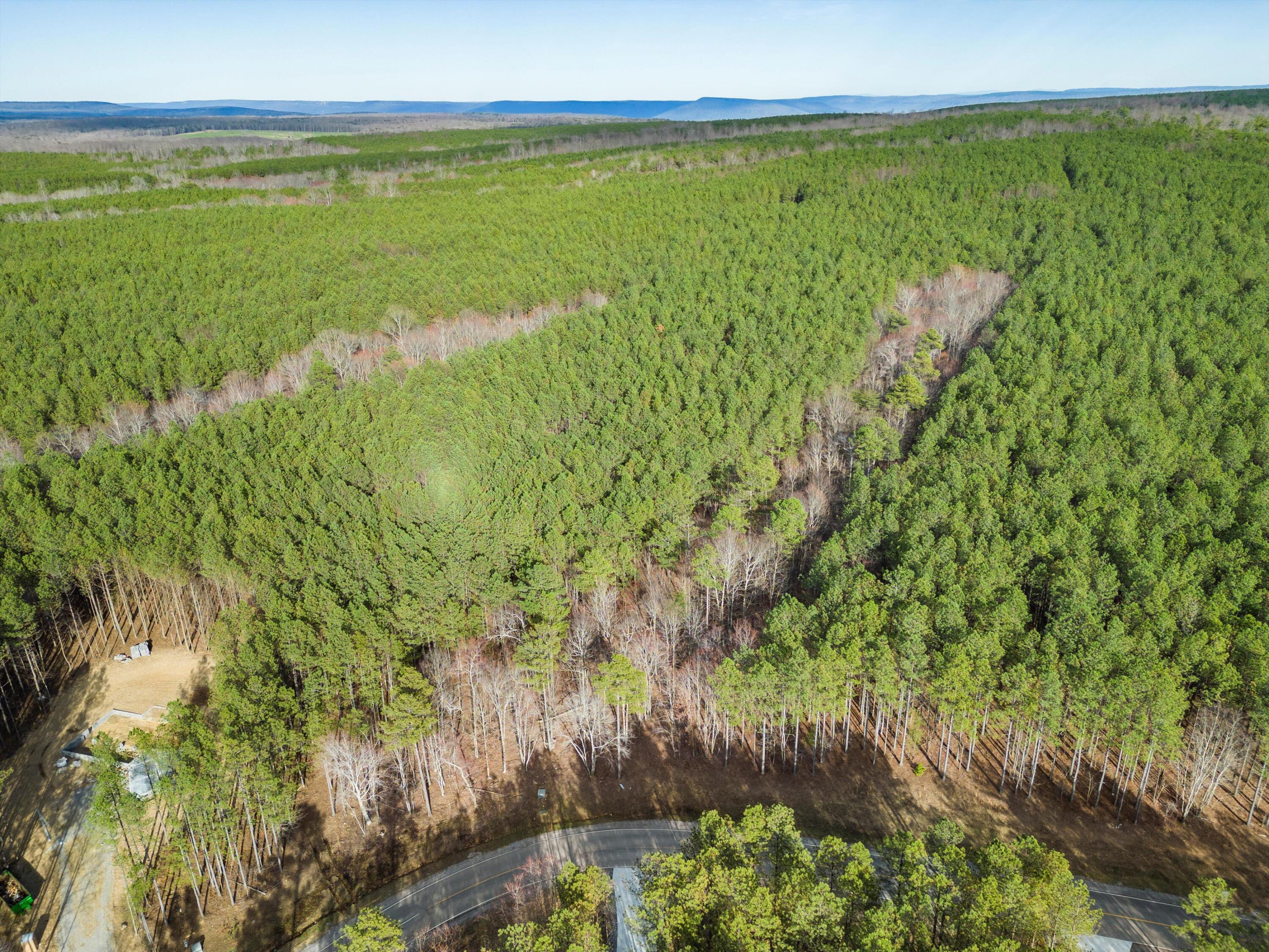 0 Raulston Falls Drive, Unit JF117 Jasper, TN 37347 - Photo 6 of 20 06-DJI_0148