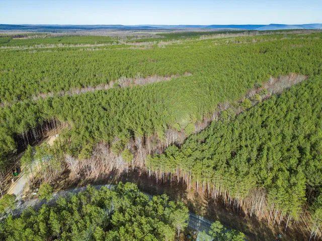 $109,900 | 0 Raulston Falls Drive, Unit JF117, Jasper, TN 37347