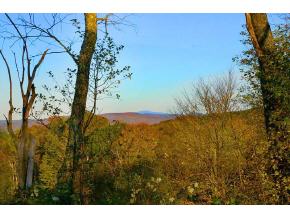 1104 Ames Hill Road Brattleboro, VT 05301 - Photo 3 of 6